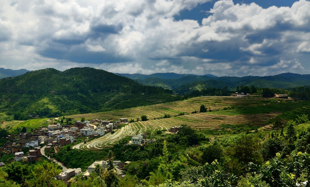 2020坪山梯田旅游区-旅游攻略-门票-地址-问答-游记点评,大埔旅游旅游