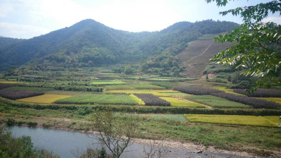 上虞区覆卮山景区好玩吗,上虞区覆卮山景区景点怎么样