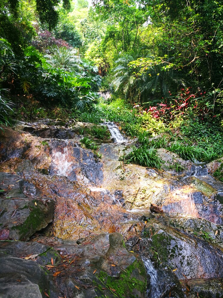 白云山旅游景点攻略图