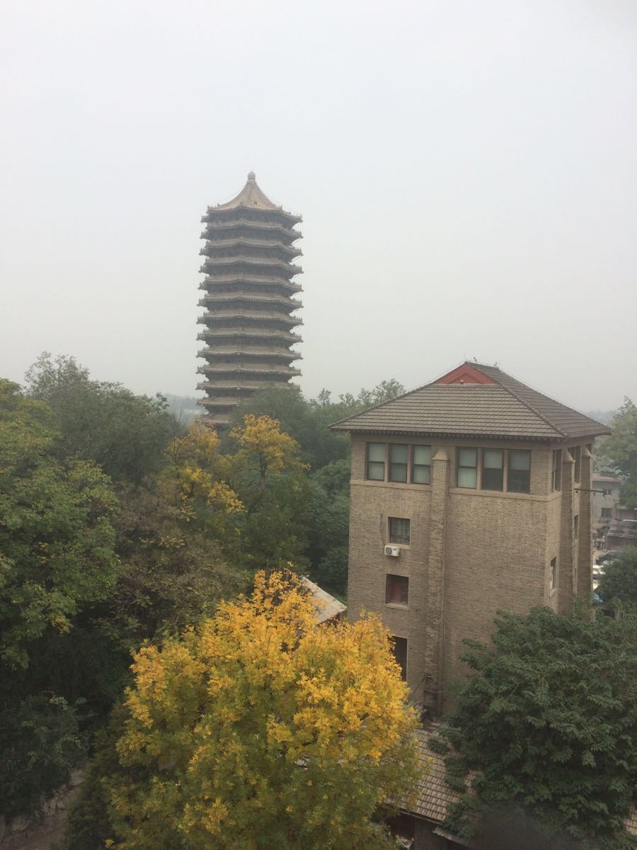 北京大学旅游景点攻略图