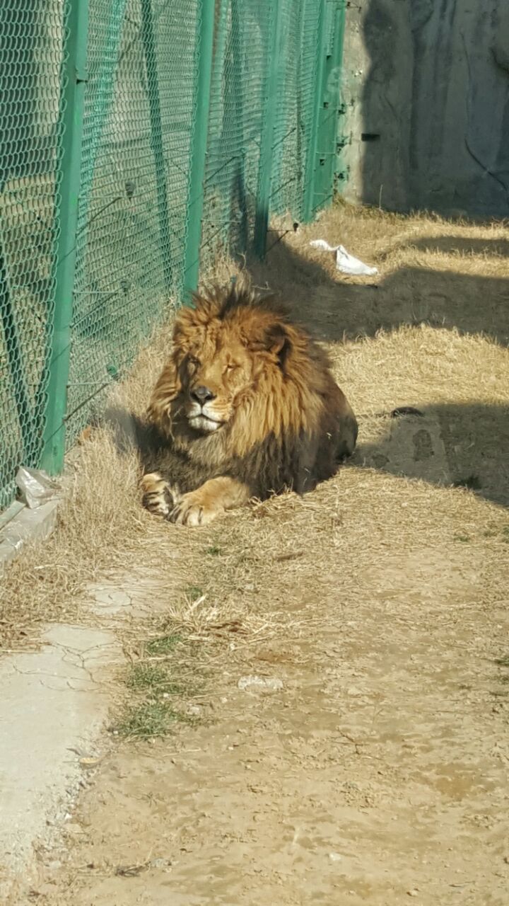 郑州动物园