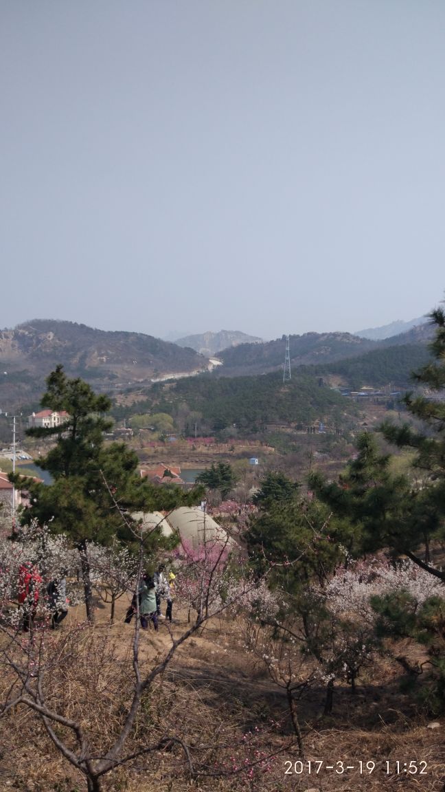 2018十梅庵风景区_旅游攻略_门票_地址_游记点评,青岛旅游景点推荐