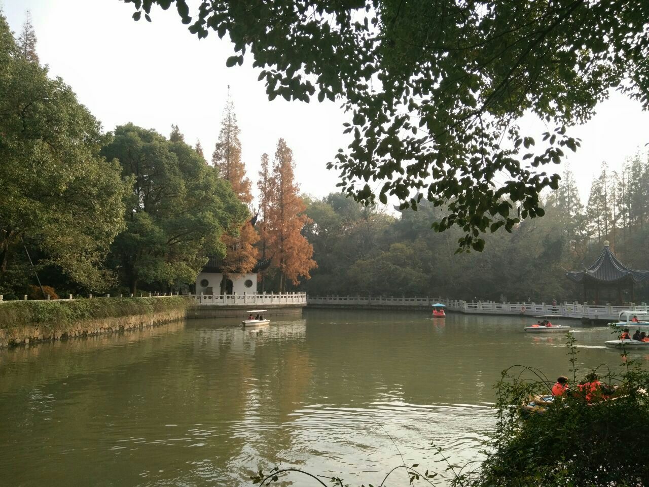 2019汇龙潭公园_旅游攻略_门票_地址_游记点评,上海旅游景点推荐 - 去