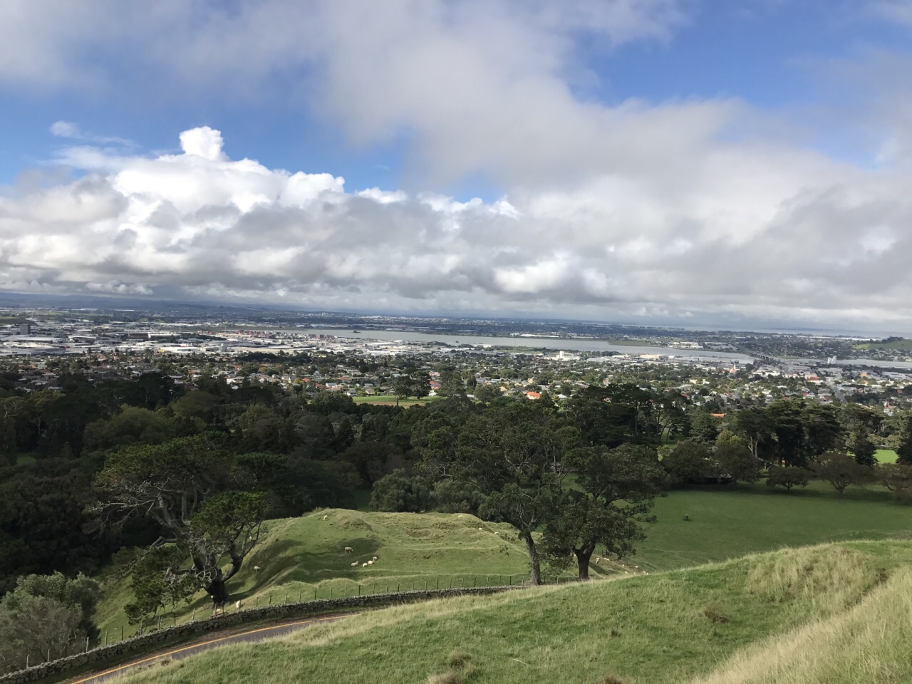 【携程攻略】奥克兰一树山好玩吗,奥克兰一树山景点样