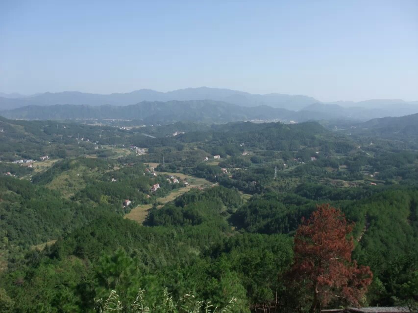 英山乌云山茶叶公园好玩吗,英山乌云山茶叶公园景点怎么样_点评_评价