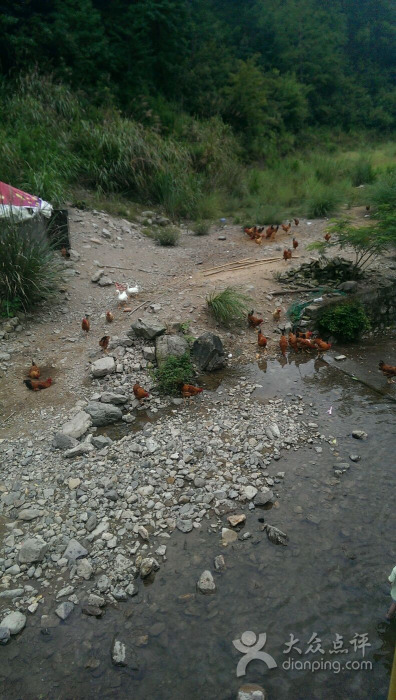 宁波宁海农家乐 · 大湾山寨