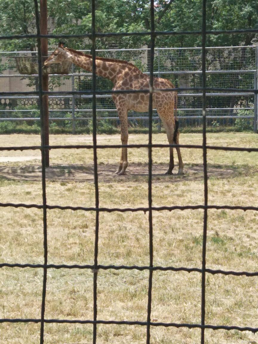 济南动物园jinan zoo