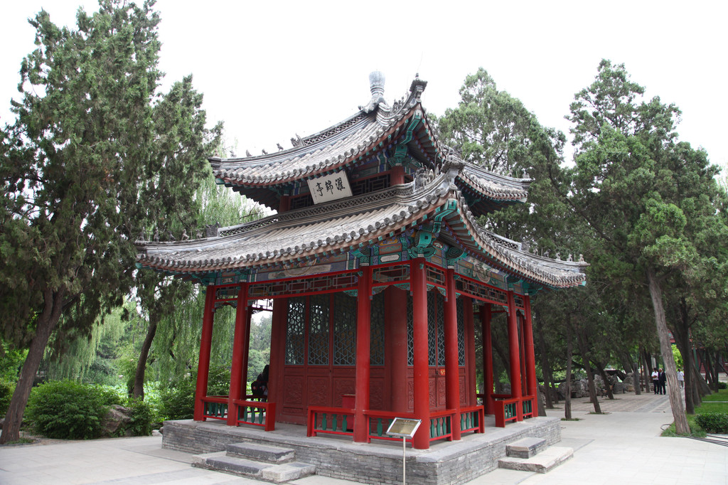 夏游北方"小西湖:保定古莲花池