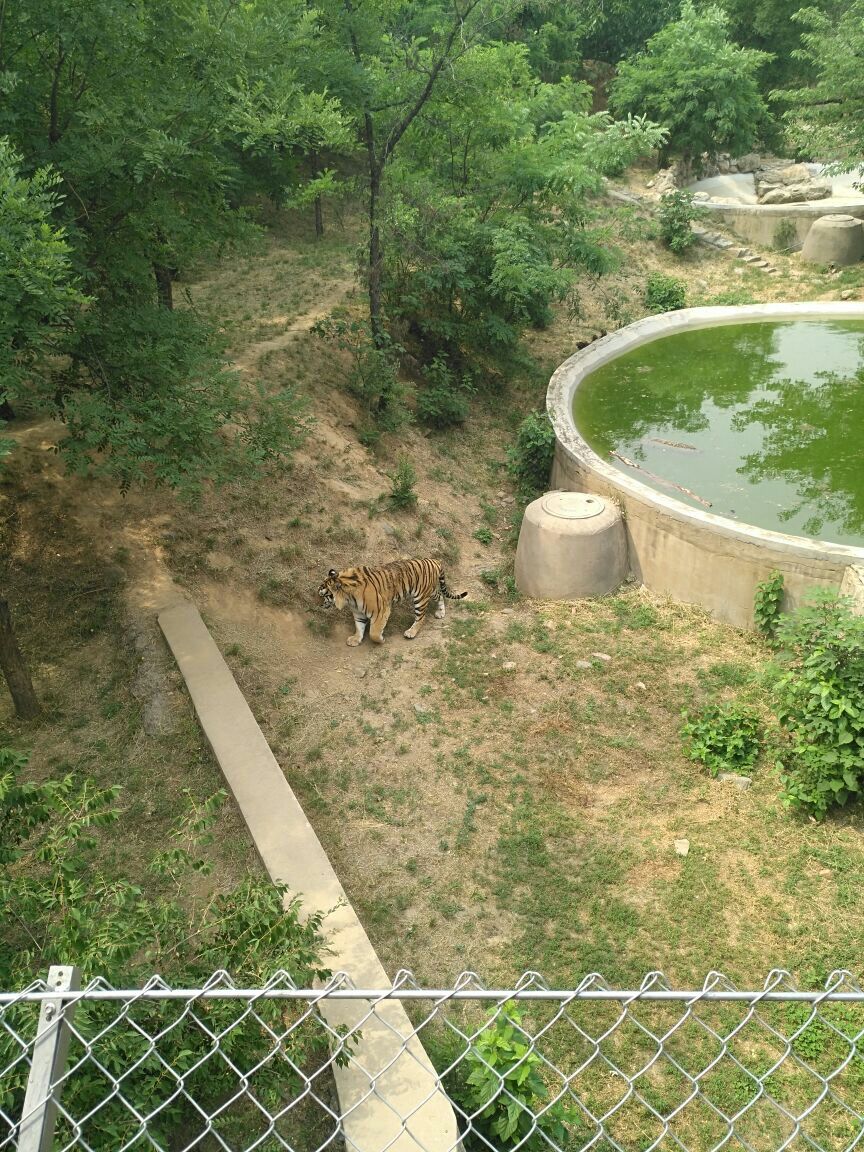 石家庄市动物园