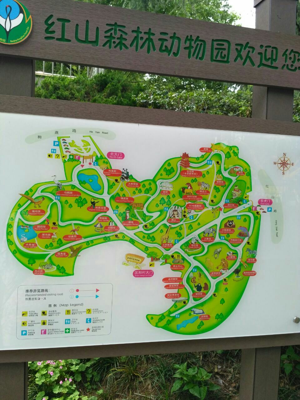 红山森林动物园旅游景点攻略图
