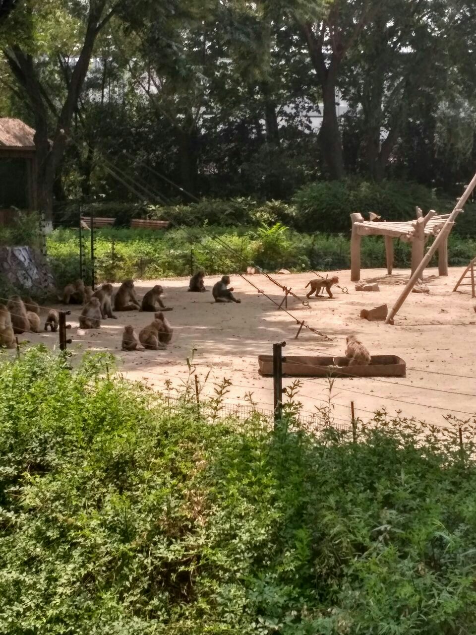 郑州动物园