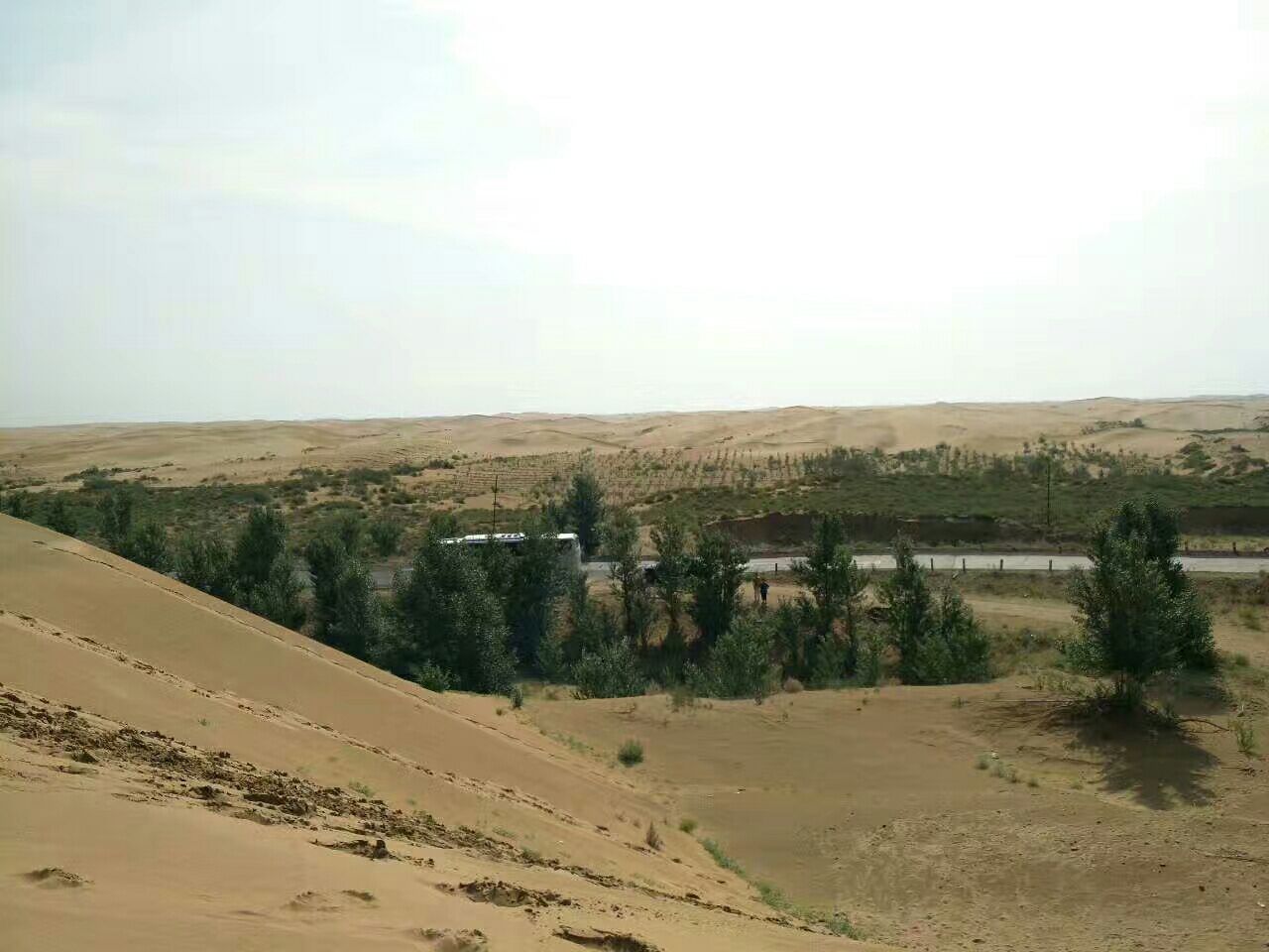 恩格贝旅游区
