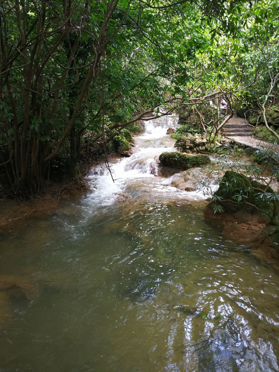 黔南水上森林好玩吗,黔南水上森林景点怎么样_点评