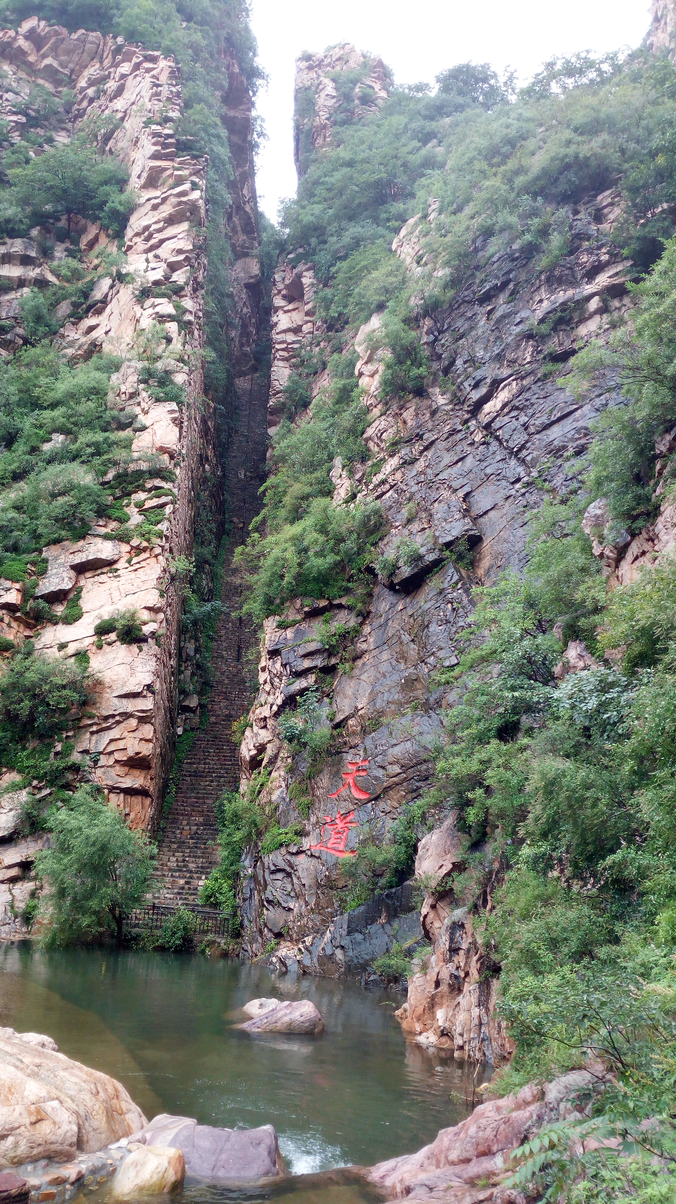 梨木台风景区