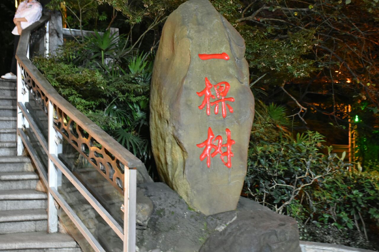 2019南山一棵树观景台_旅游攻略_门票_地址_游记点评