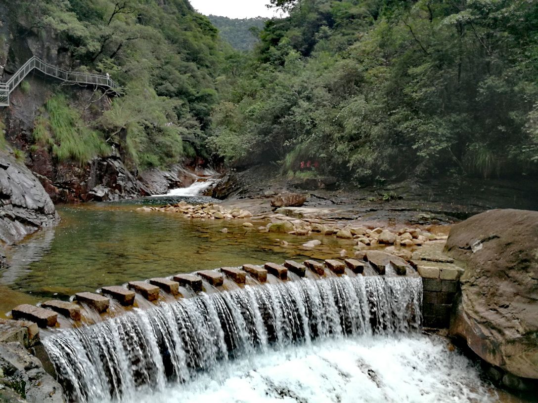 龙麒源