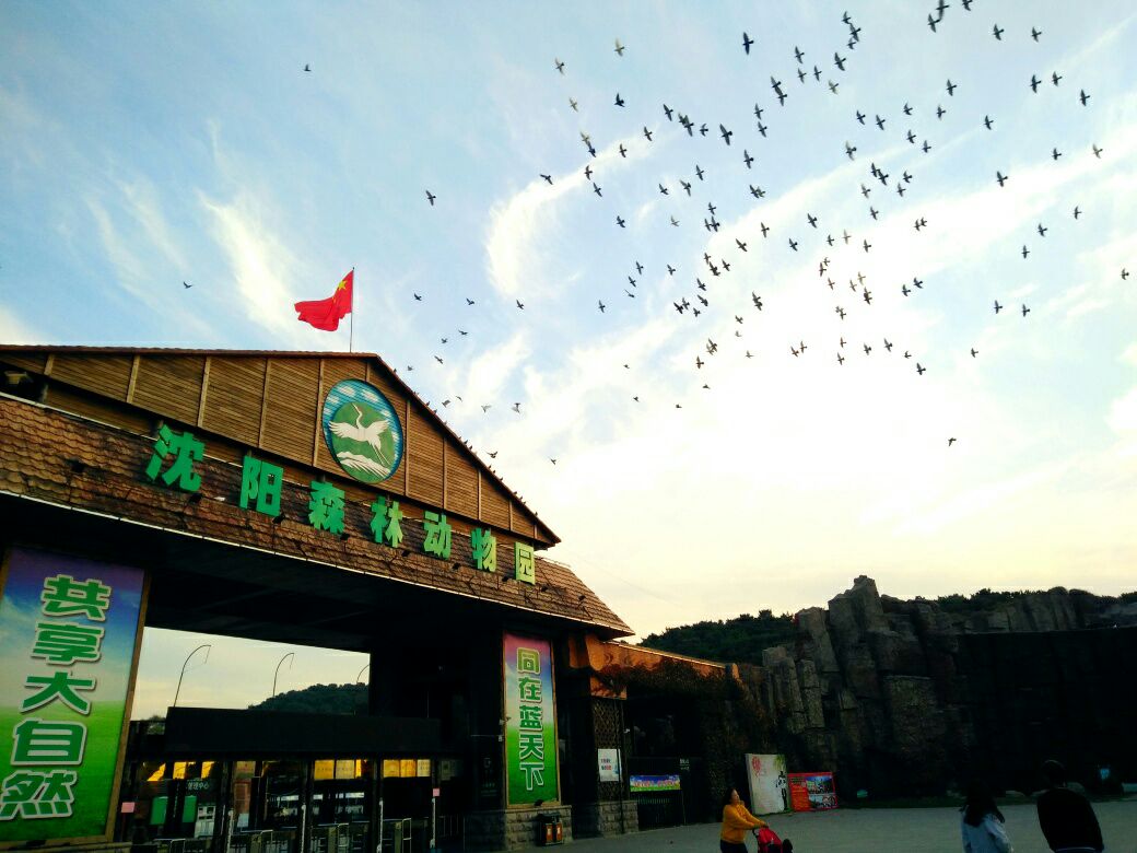 沈阳森林动物园