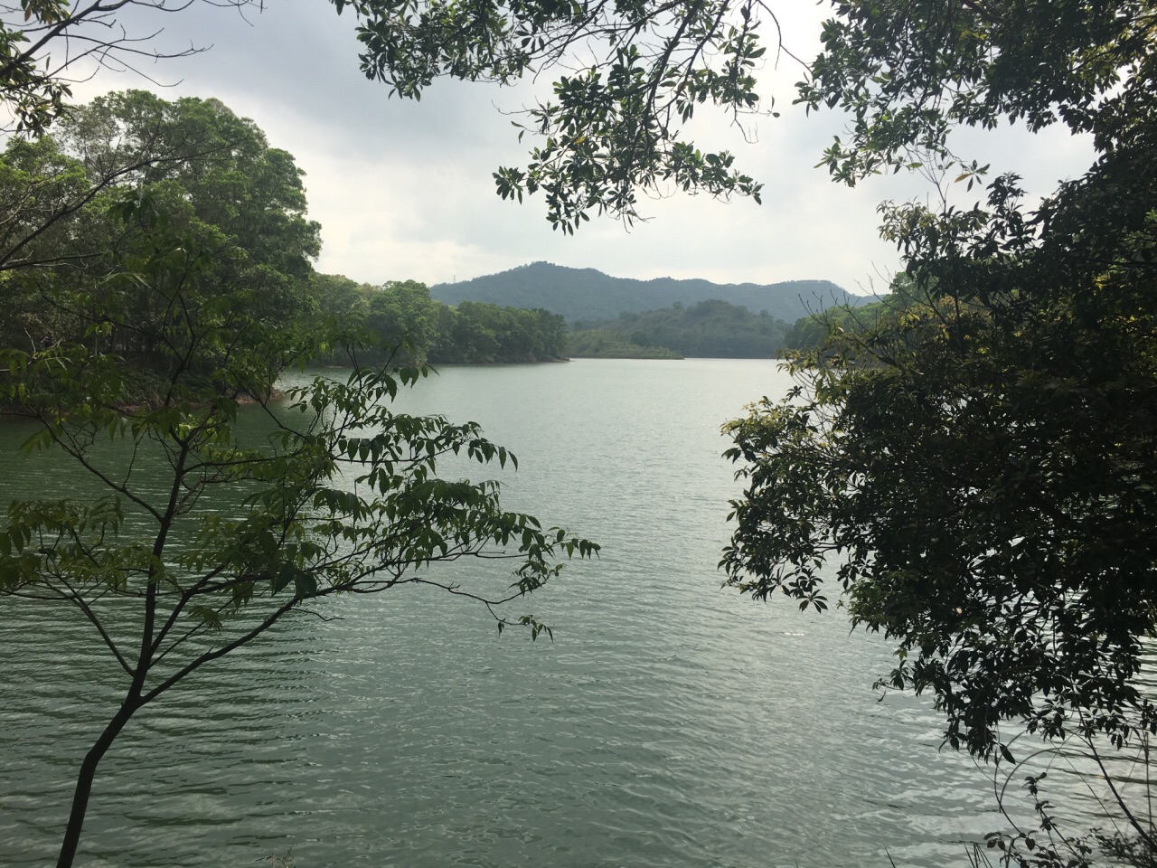 惠州红花湖好玩吗,惠州红花湖景点怎么样_点评_评价【携程攻略】