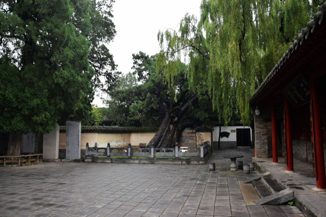 嵩阳书院旅游景点攻略图