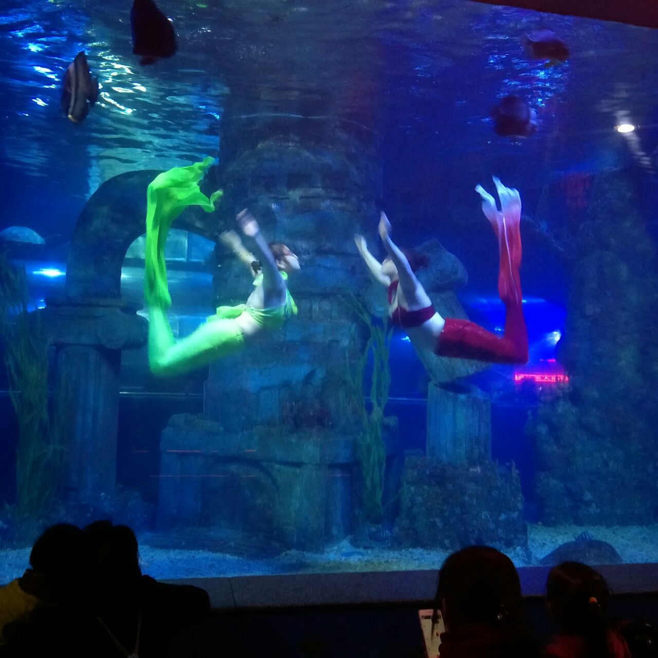石家庄动物园海洋馆