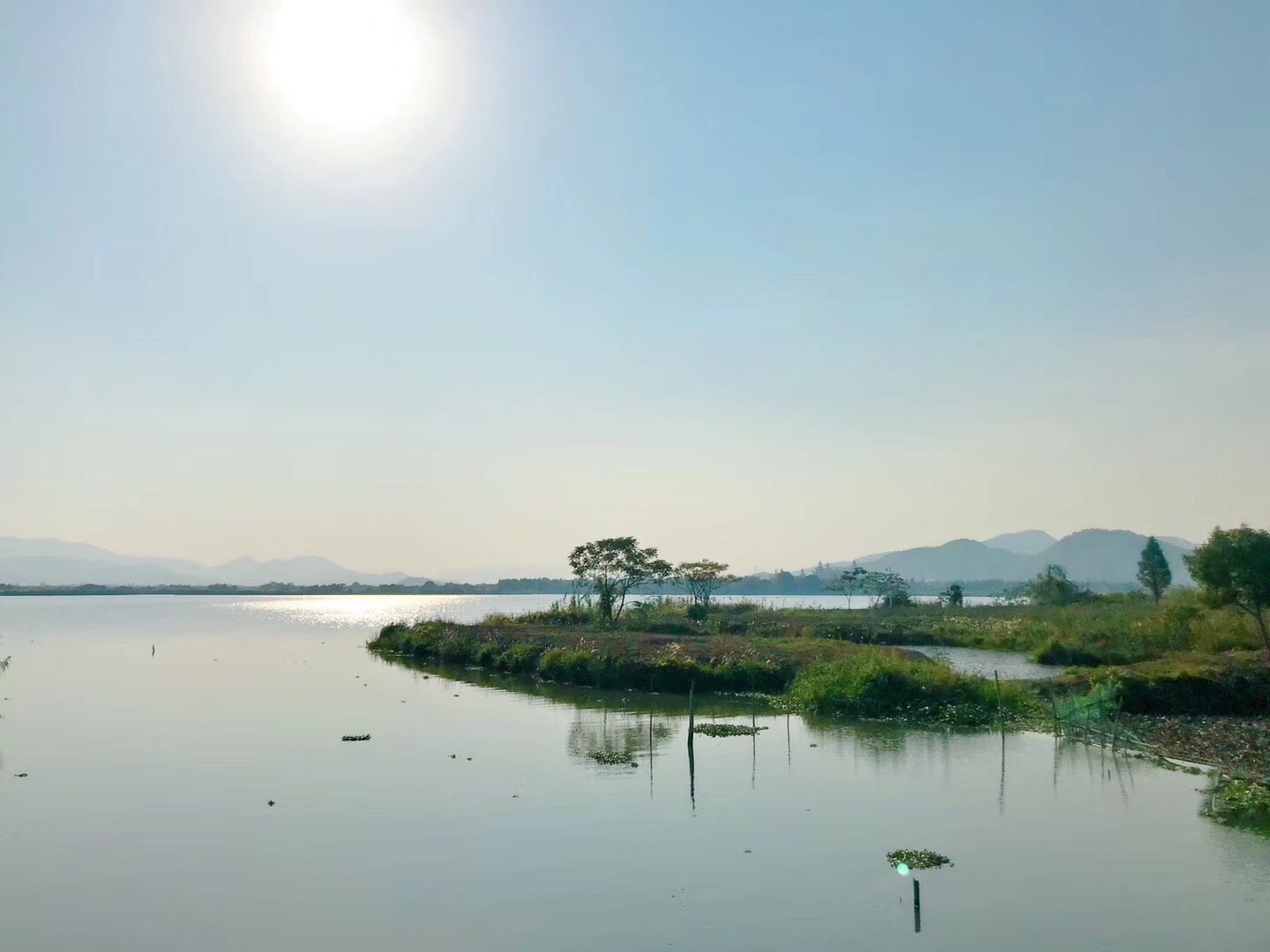 德清下渚湖湿地公园旅游景点攻略图