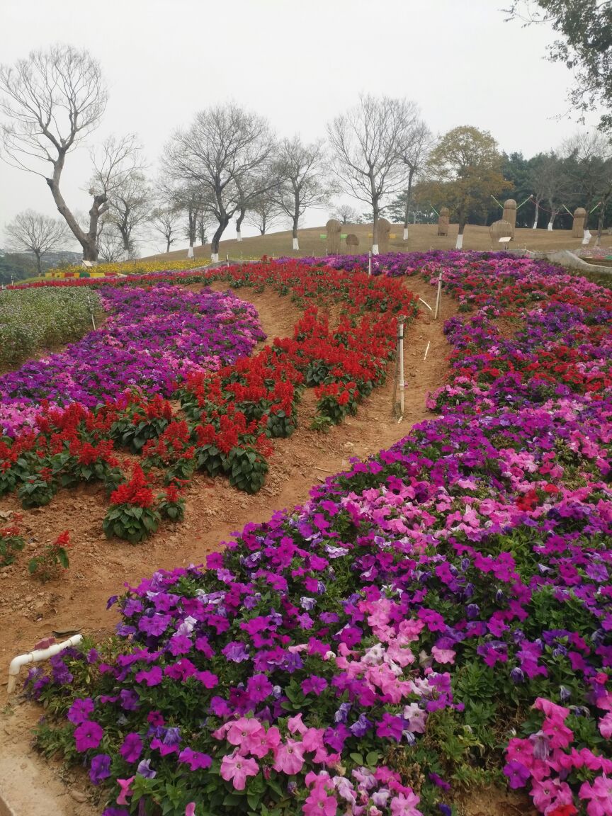 东莞梦幻百花洲好玩吗,东莞梦幻百花洲景点怎么样
