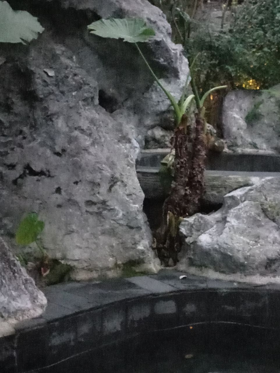 都匀斗篷山温泉攻略,都匀斗篷山温泉门票/游玩攻略