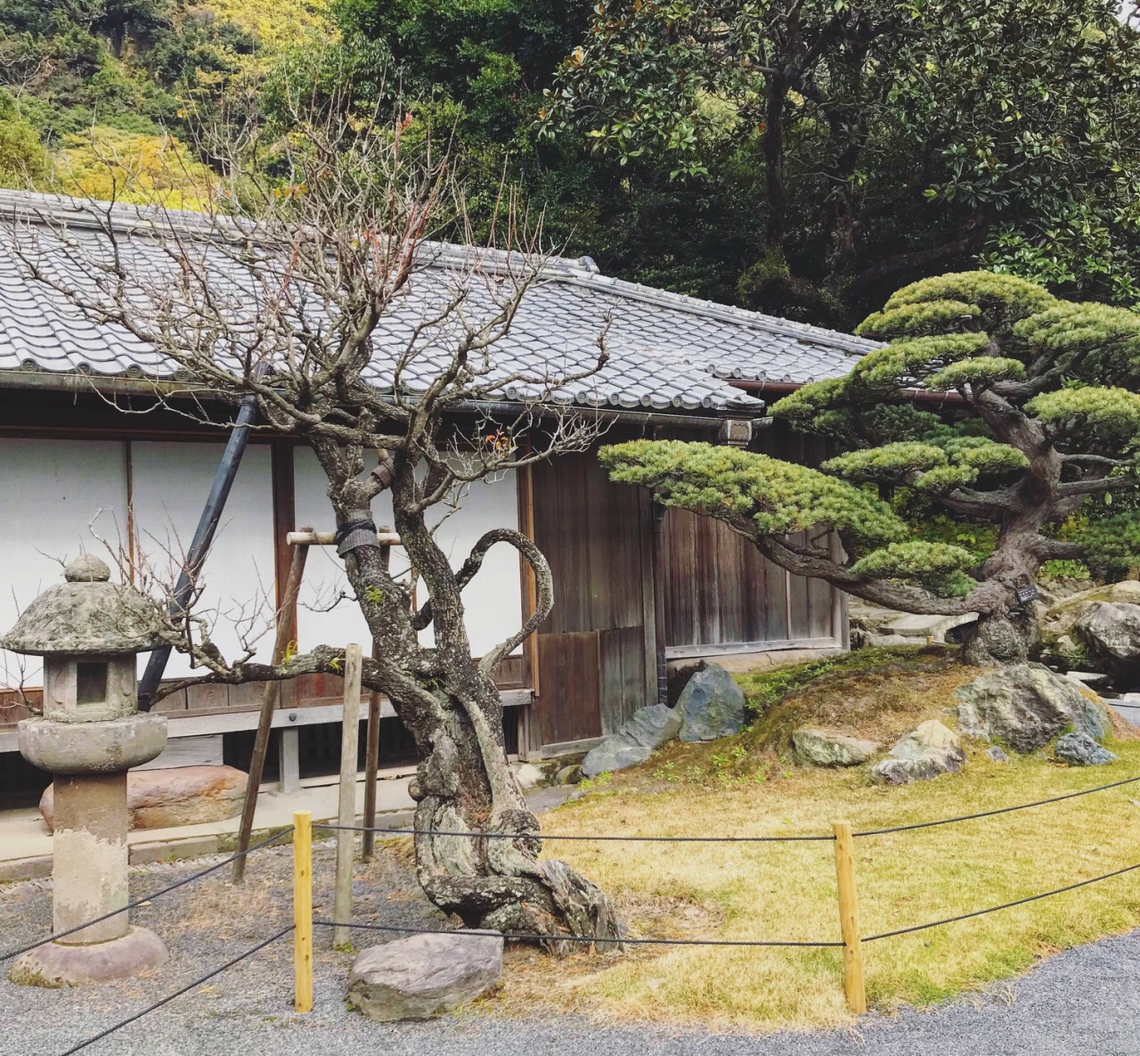 鹿儿岛仙岩园攻略,鹿儿岛仙岩园门票/游玩攻略/地址