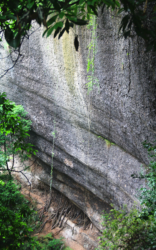 那一年"川"梭中的回忆:足迹四川青城山—四川青城山前山后山,老君阁