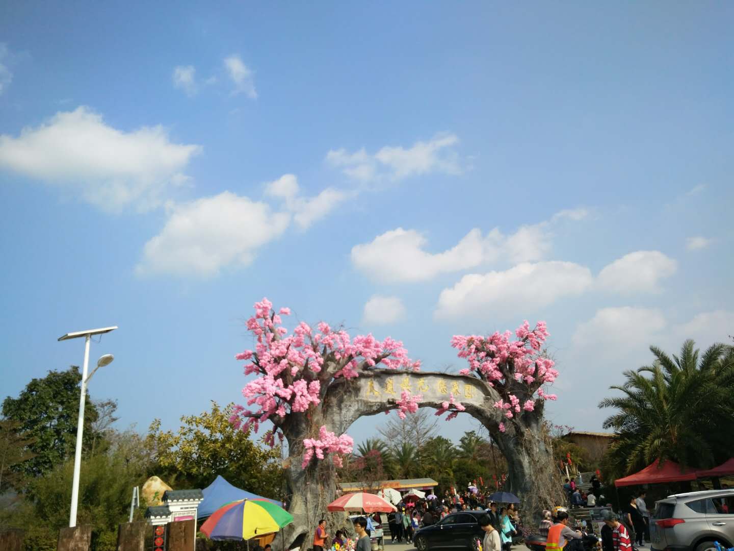2019天适樱花悠乐园_旅游攻略_门票_地址_游记点评,从化旅游景点推荐