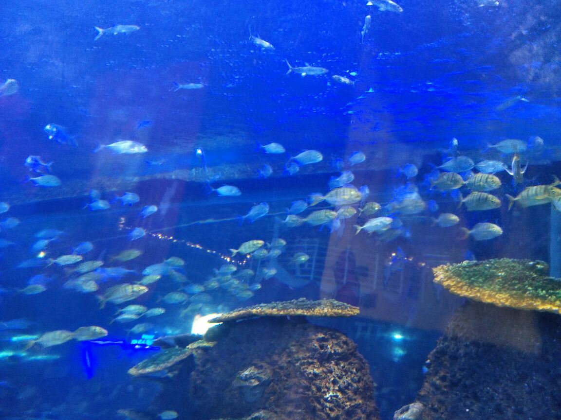 欢乐海底世界