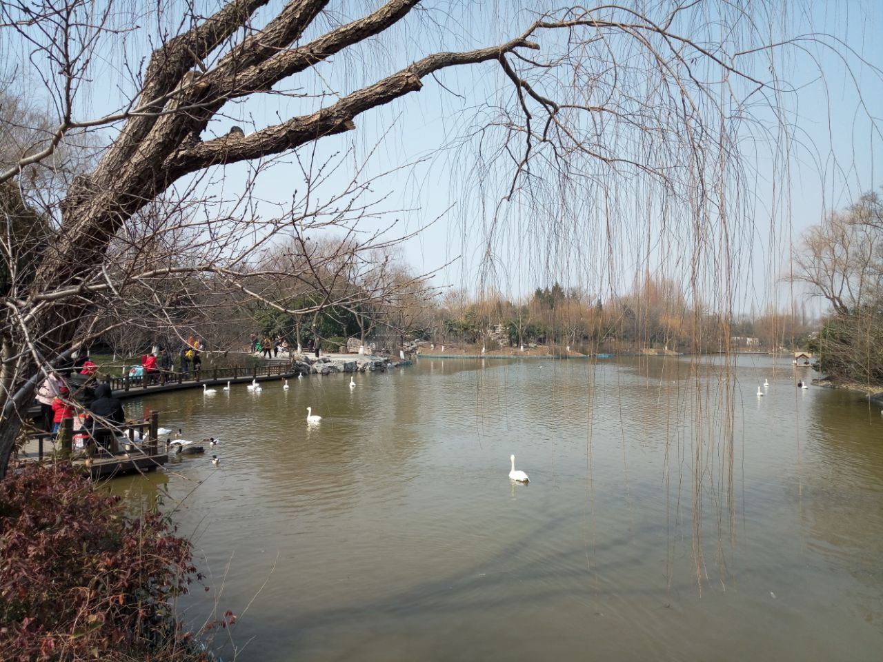 扬州茱萸湾风景区好玩吗,扬州茱萸湾风景区景点怎么样