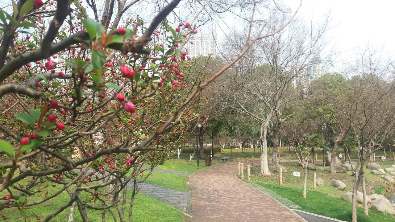 菱角湖公园