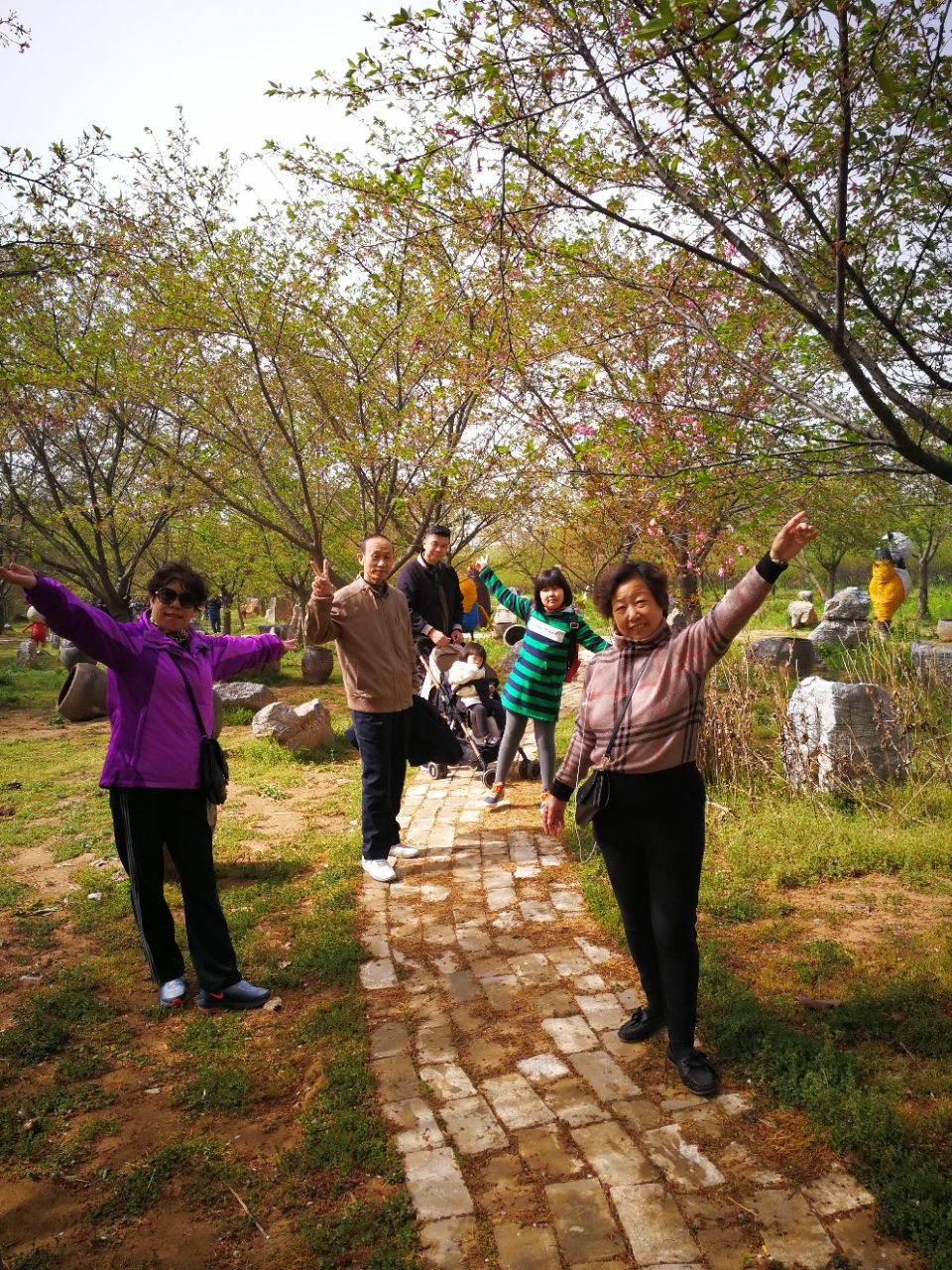 鄢陵唐韵樱花园攻略,鄢陵唐韵樱花园门票/游玩攻略