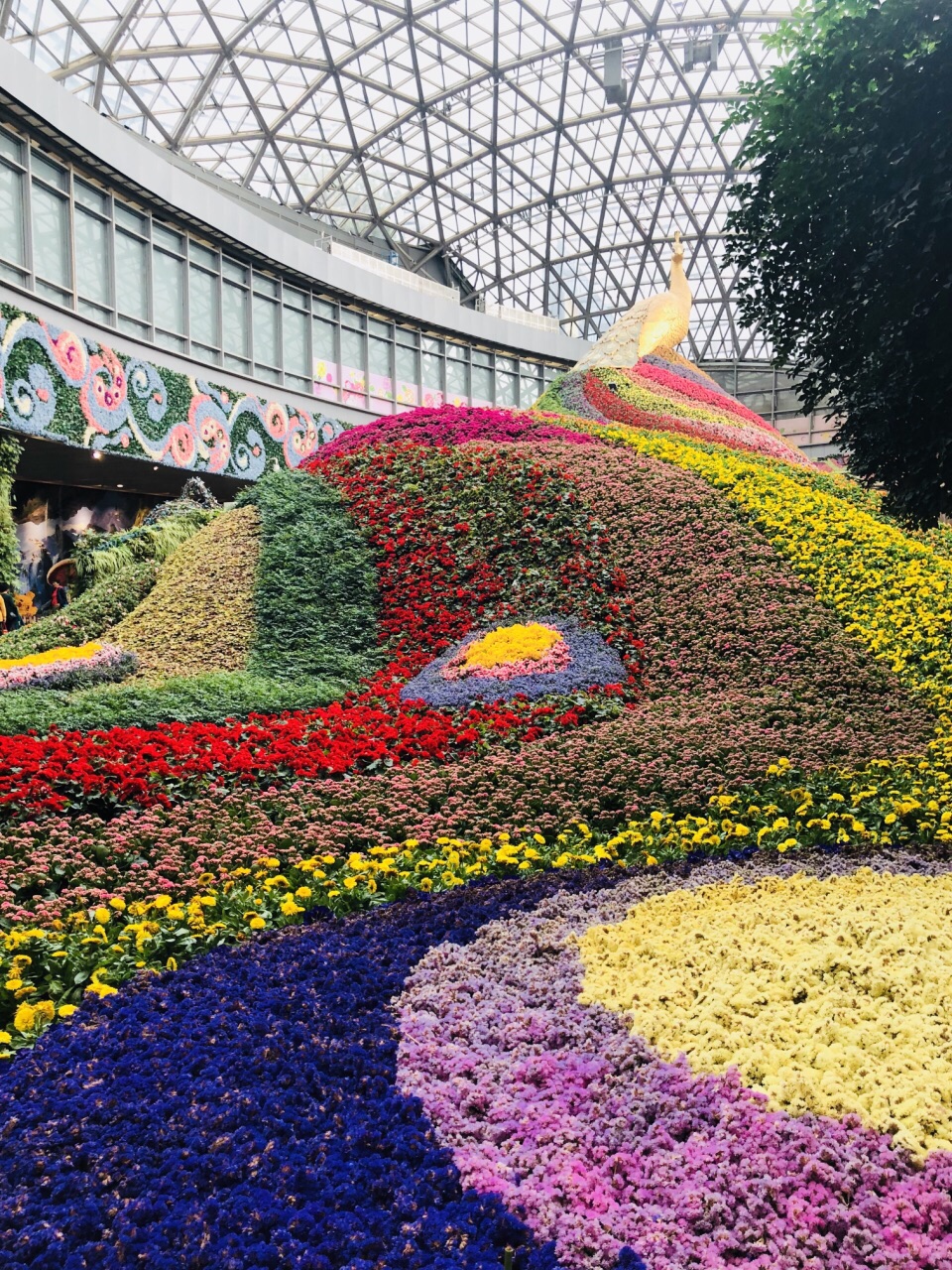 【携程攻略】昆明花之城景点,拍照拍照拍照,花之城,有