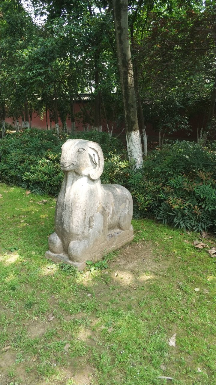 包河公园因为包公祠、包公墓和清风阁而闻名。相传包河的藕是无丝的,不过,包河由于水污染,已经很久没有见到这样的藕了。包河公园为环城公园中历史文化景观的代表,属于环城公园中重要的一段,面积30.5公顷,其中水面15公顷。其南部地势基本平坦,北部因拆毁原城而成,故由水滨至环城南路呈坡状地势分布。 包公园景区内建有包公祠、包公墓、清风阁、浮庄等景点。包河沿岸绿柳成行、蒲荷万柄,包河中间 碧波荡漾之中,有一狭长小岛,刀上绿树繁茂成荫,花木齐争斗艳,在一片竹树荫之中,隐现着一座白墙青瓦、纯朴典