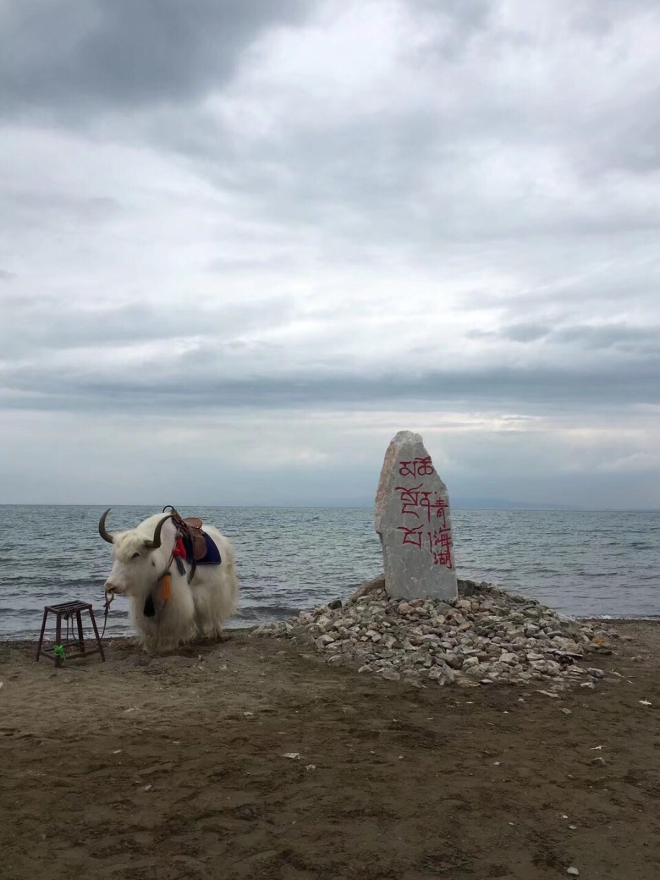 青海湖门票在哪里买