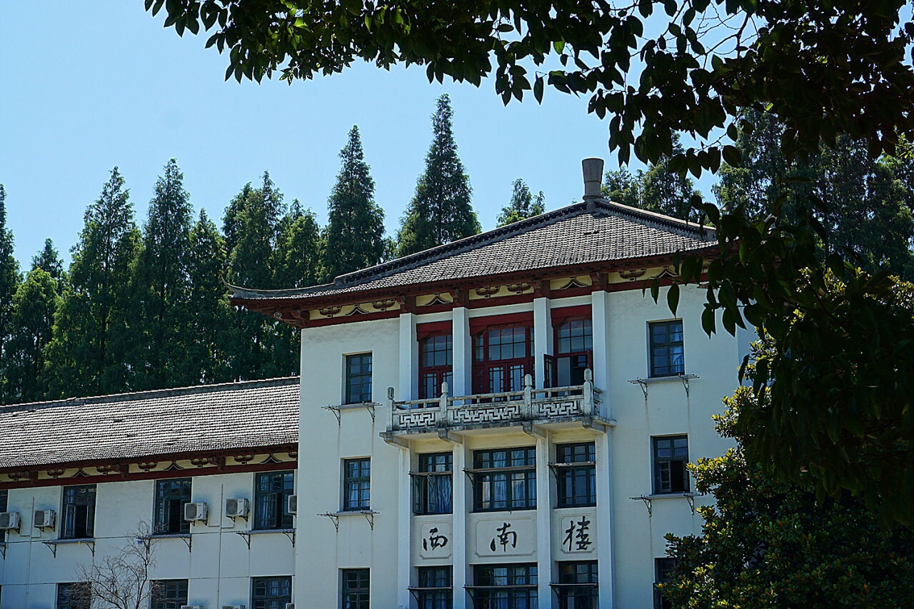 同济大学