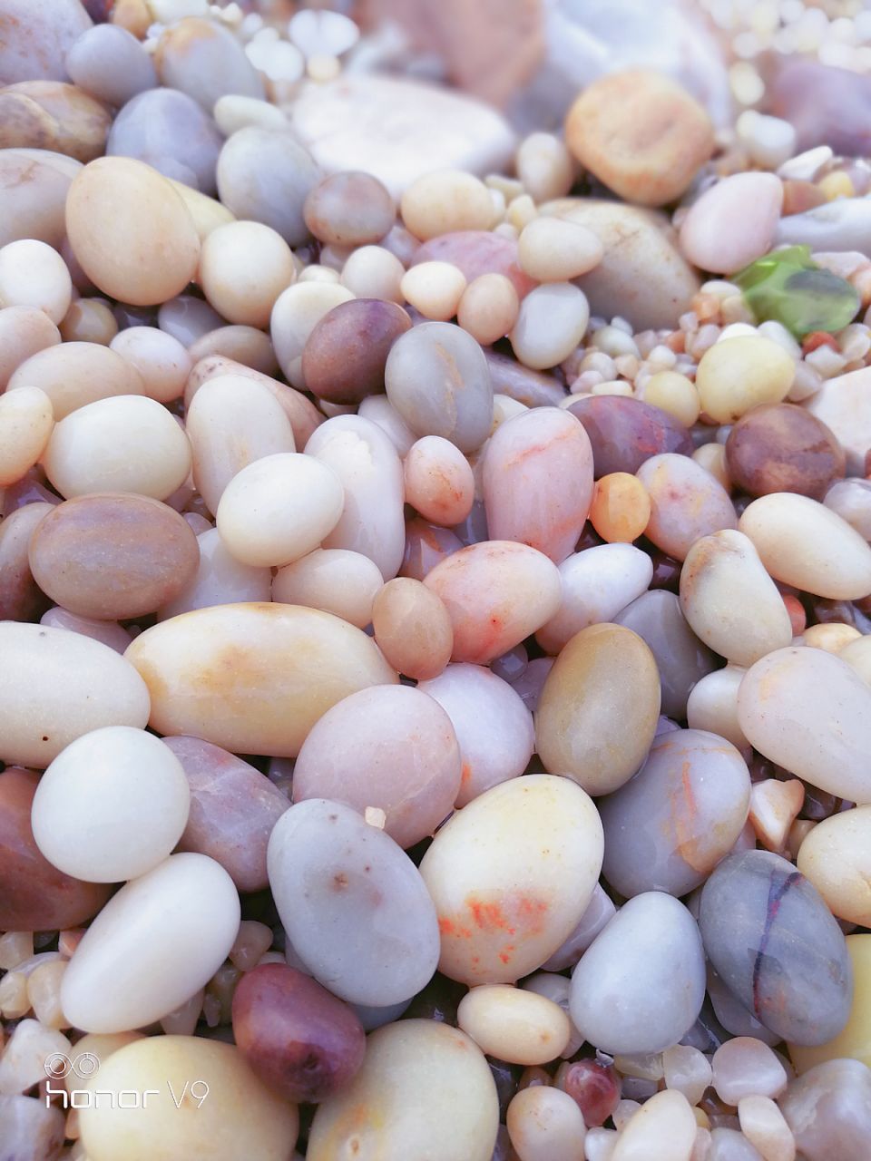 球石海滩果然不是虚传,圆圆的小石头真的是很多,很漂亮.
