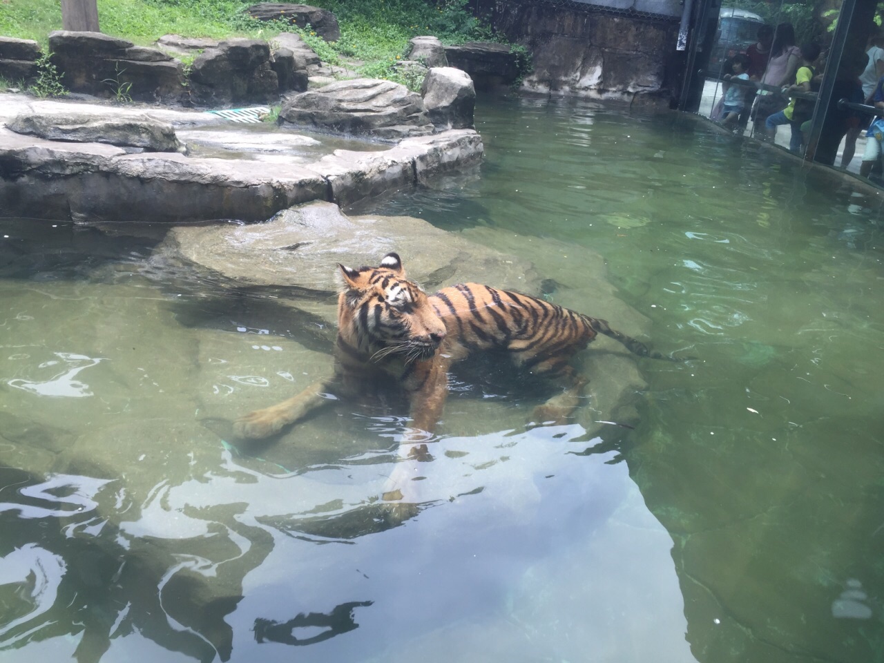 深圳野生动物园