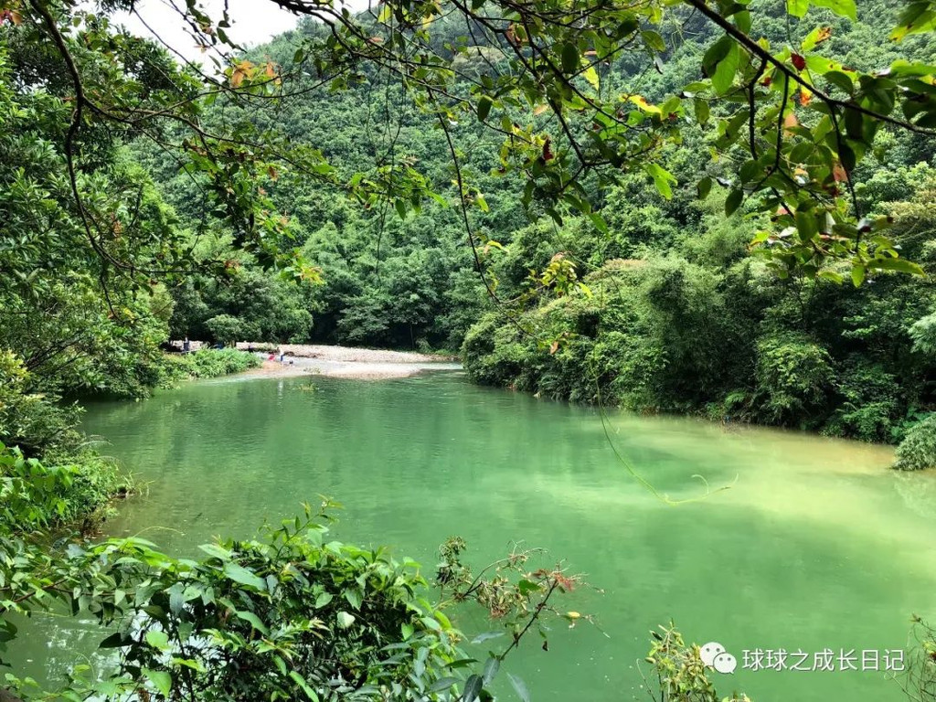 提起肇庆景点,大家肯定会马上想到鼎湖山和七星崖,看到"紫云谷