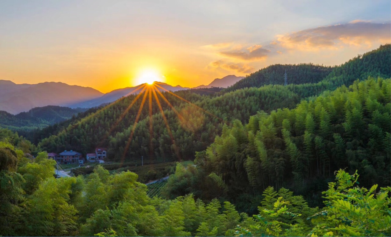 请问在莫干山看竹子跟在安吉大竹海看竹子景色区别大吗?