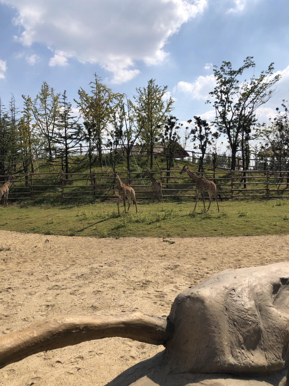 南通森林野生动物园