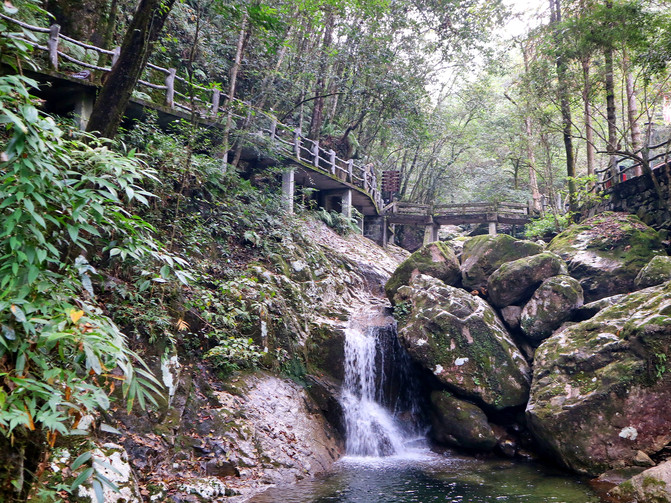 乌岩岭参观完黄腹角雉主题馆,我们向景区内进发.