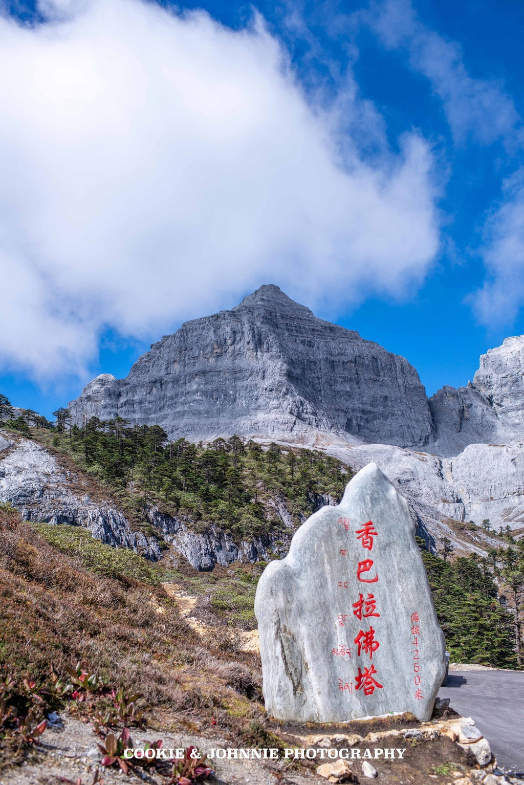 曲奇在巴拉格宗 | 与世隔绝的神山秘境,寻找精神回归的淳朴村