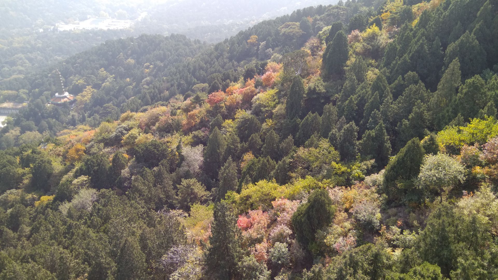 2019香山公园_旅游攻略_门票_地址_游记点评,北京旅游景点推荐 去