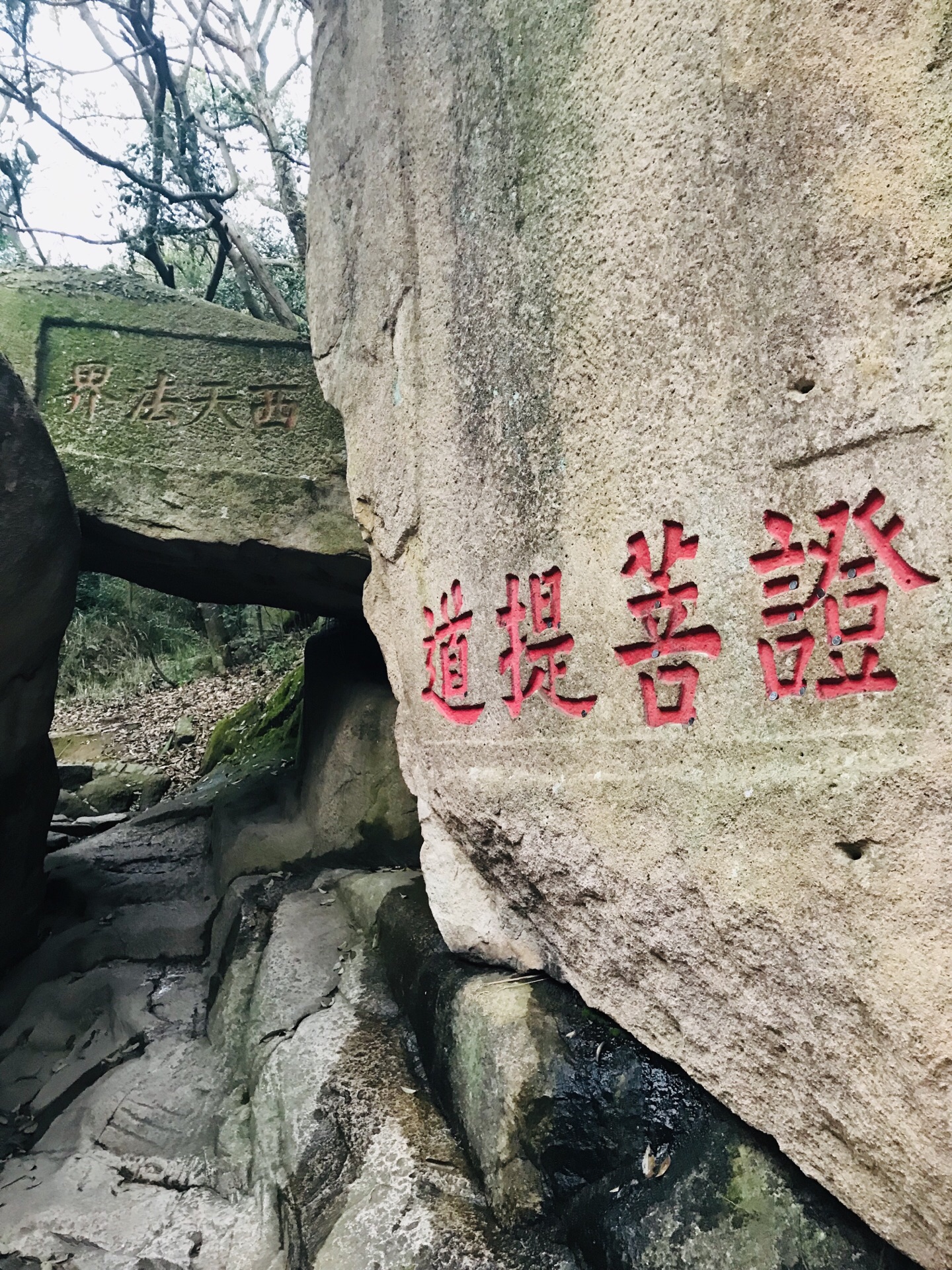 普陀山西天景区