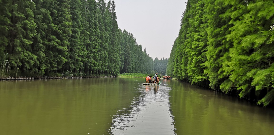 金湖水上森林公园