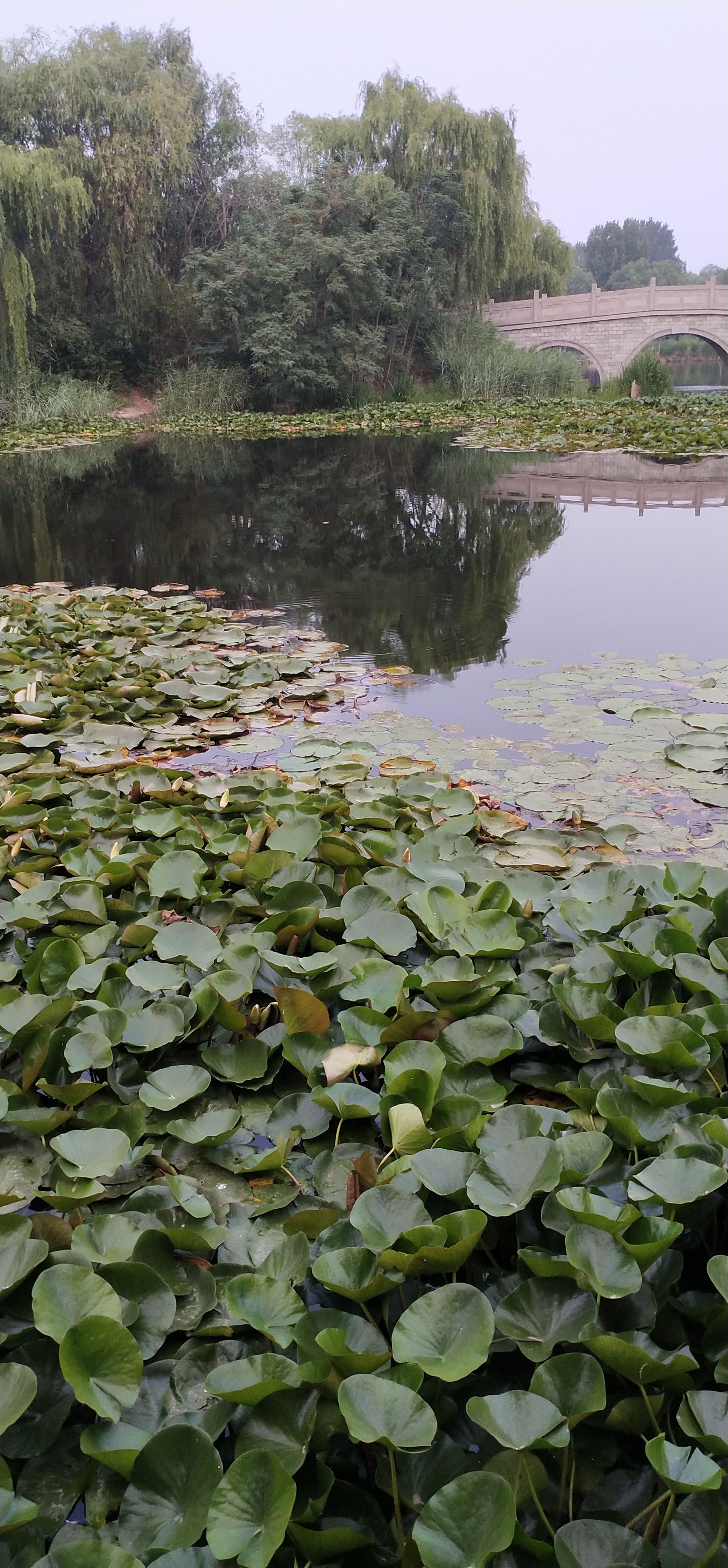 白浪河湿地公园