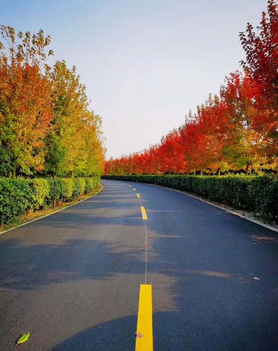 南京枫彩漫城好玩吗,南京枫彩漫城景点怎么样_点评